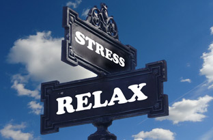 Relax and relieve stress on the Spot