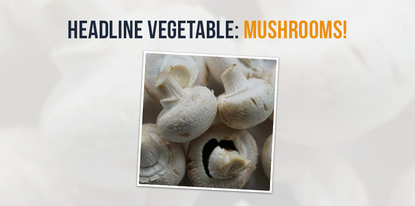 Headline Vegetable - Mushrooms